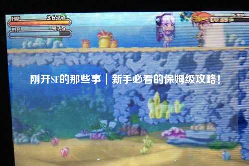 剛開SF的那些事｜新手必看的保姆級(jí)攻略！