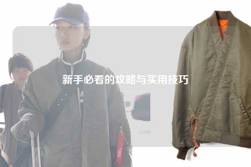 新手必看的攻略與實(shí)用技巧