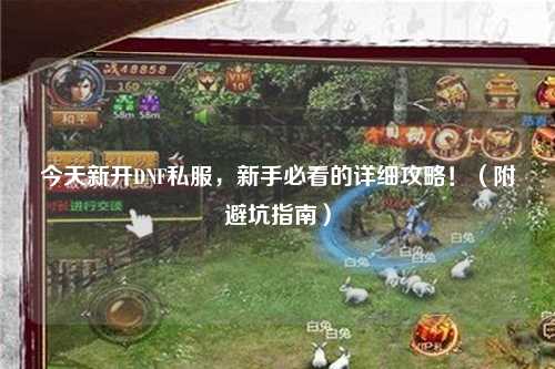 今天新開DNF私服，新手必看的詳細(xì)攻略！（附避坑指南）