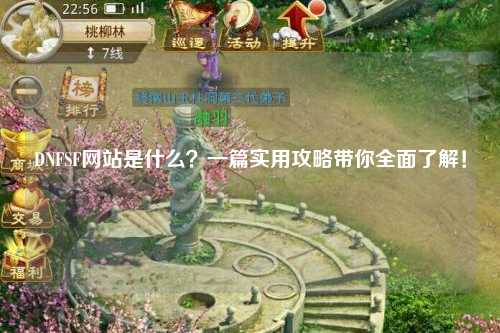 DNFSF網站是什么？一篇實用攻略帶你全面了解！
