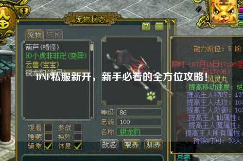 DNF私服新開，新手必看的全方位攻略！
