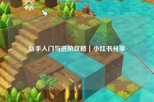 新手入門與進階攻略｜小紅書分享