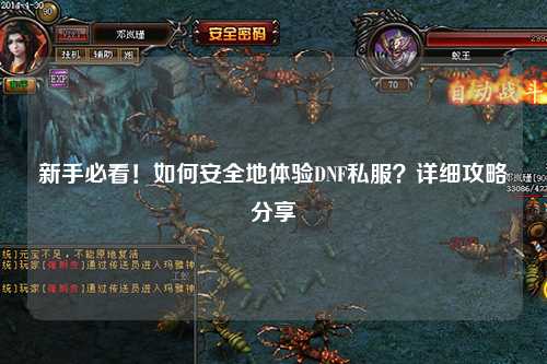 新手必看！如何安全地體驗(yàn)DNF私服？詳細(xì)攻略分享