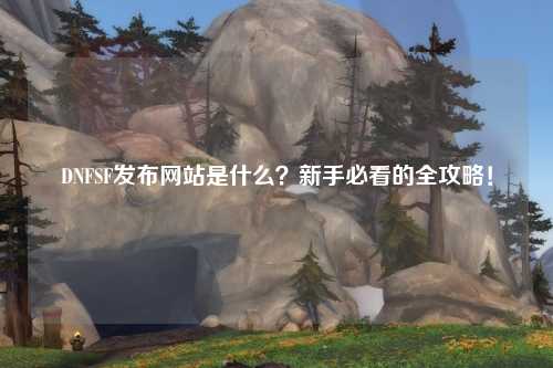 DNFSF發(fā)布網(wǎng)站是什么？新手必看的全攻略！