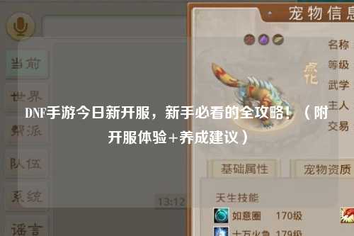 DNF手游今日新開服，新手必看的全攻略！（附開服體驗+養成建議）