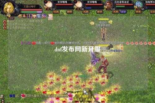dnf發(fā)布網(wǎng)新開(kāi)服
