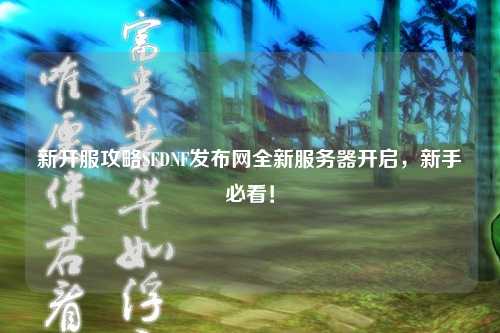 新開服攻略SFDNF發(fā)布網(wǎng)全新服務(wù)器開啟，新手必看！