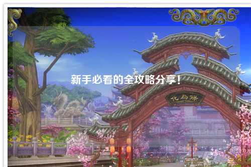 新手必看的全攻略分享！