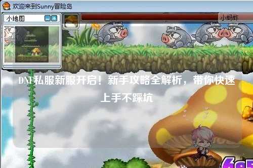 DNF私服新服開啟！新手攻略全解析，帶你快速上手不踩坑