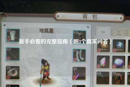 新手必看的完整指南（附3個真實問答）