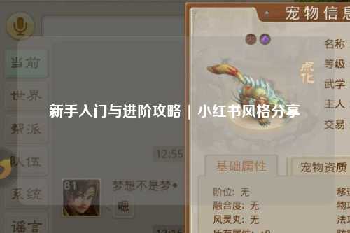 新手入門與進(jìn)階攻略 | 小紅書風(fēng)格分享