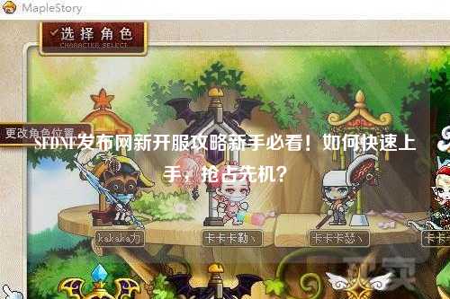 SFDNF發(fā)布網(wǎng)新開服攻略新手必看！如何快速上手，搶占先機(jī)？