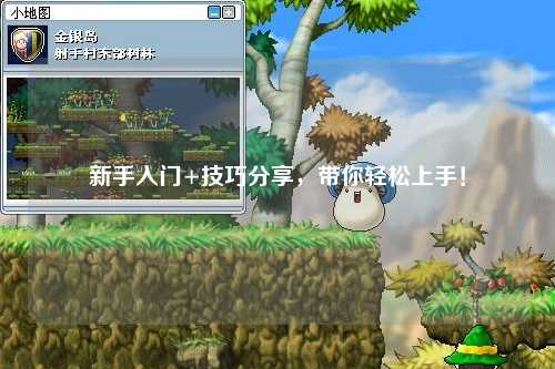 新手入門+技巧分享，帶你輕松上手！