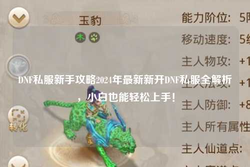 DNF私服新手攻略2024年最新新開(kāi)DNF私服全解析，小白也能輕松上手！