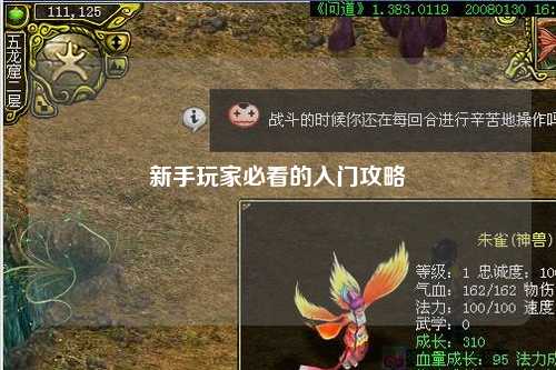 新手玩家必看的入門攻略