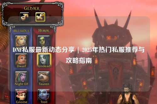 DNF私服最新動態分享 | 2025年熱門私服推薦與攻略指南