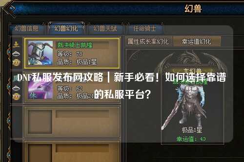 DNF私服發布網攻略｜新手必看！如何選擇靠譜的私服平臺？