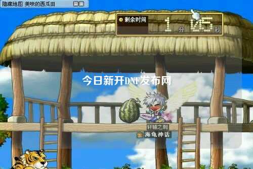 今日新開DNF發(fā)布網(wǎng)
