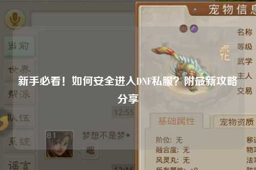 新手必看！如何安全進入DNF私服？附最新攻略分享
