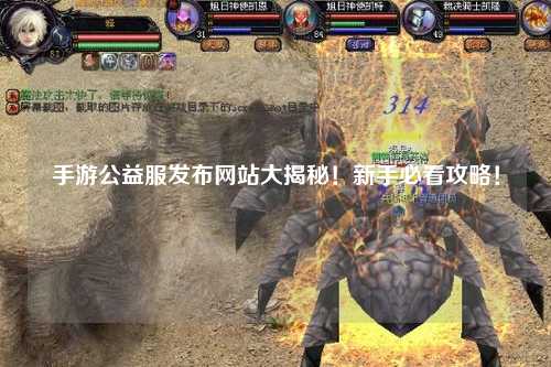 手游公益服發布網站大揭秘！新手必看攻略！