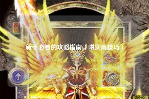新手必看的攻略指南（附實(shí)用技巧）