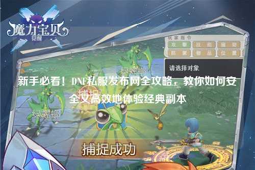 新手必看！DNF私服發布網全攻略，教你如何安全又高效地體驗經典副本